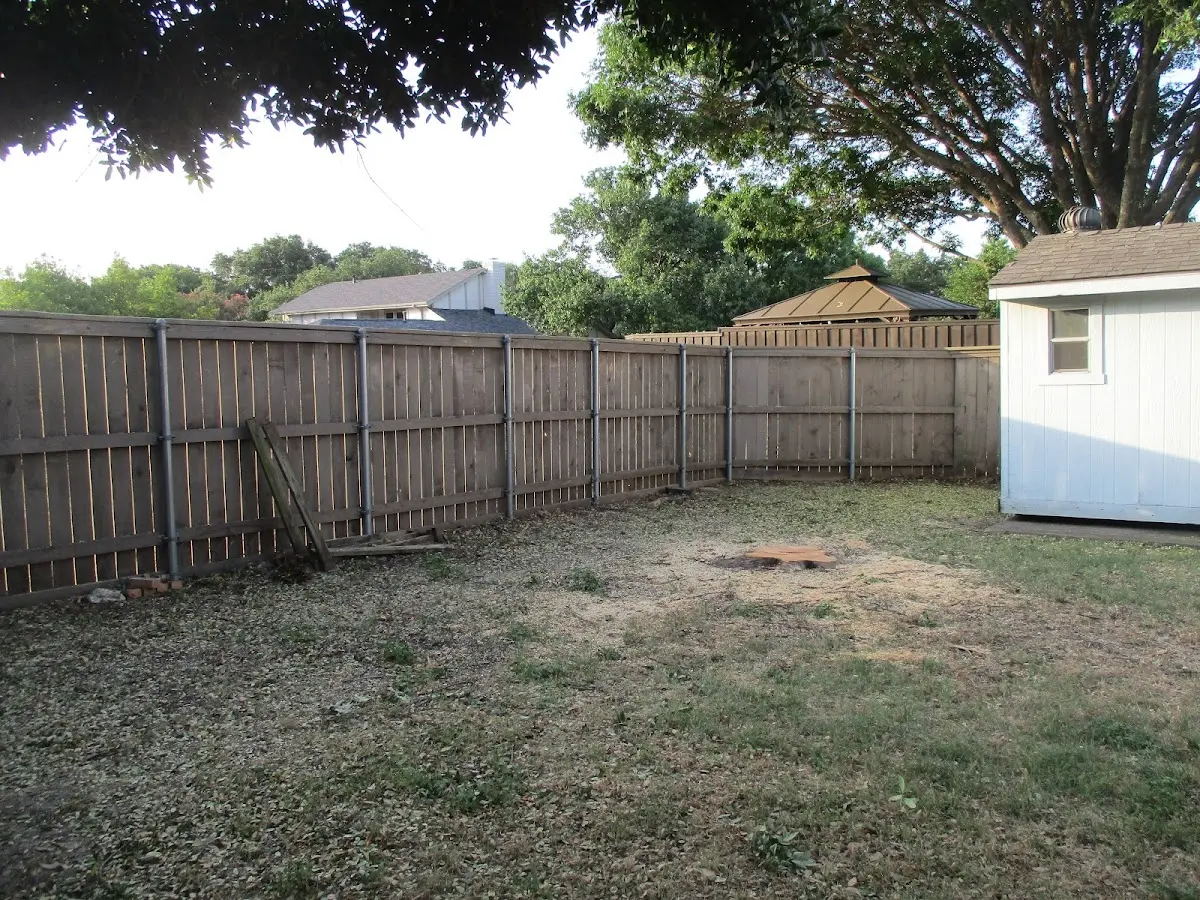 Cleared yard after professional tree removal in Queen Creek